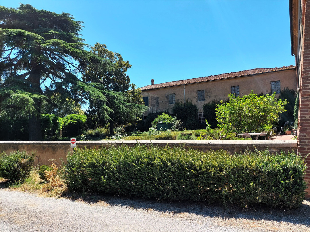 Tenuta Del Numero Uno - Fattoria Bicocchi