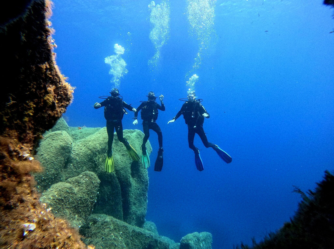 Orso Diving Club-切尔沃港必去景点