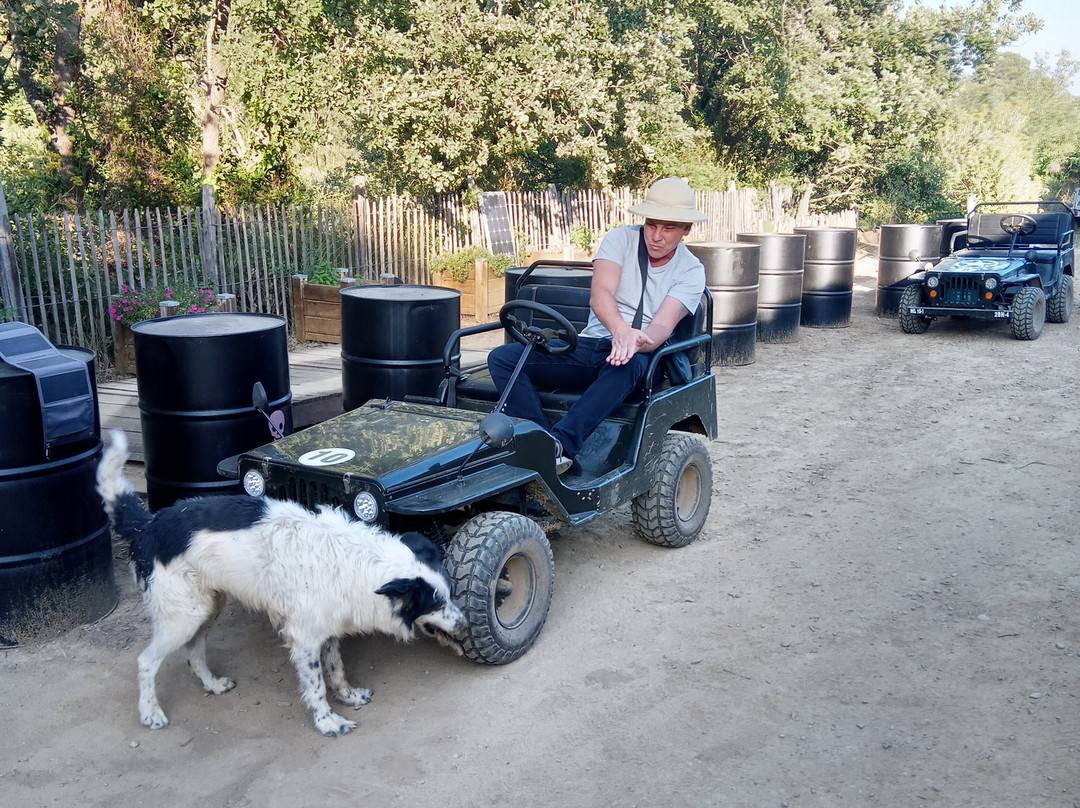 Peejy Trophy-Gabian必去景点