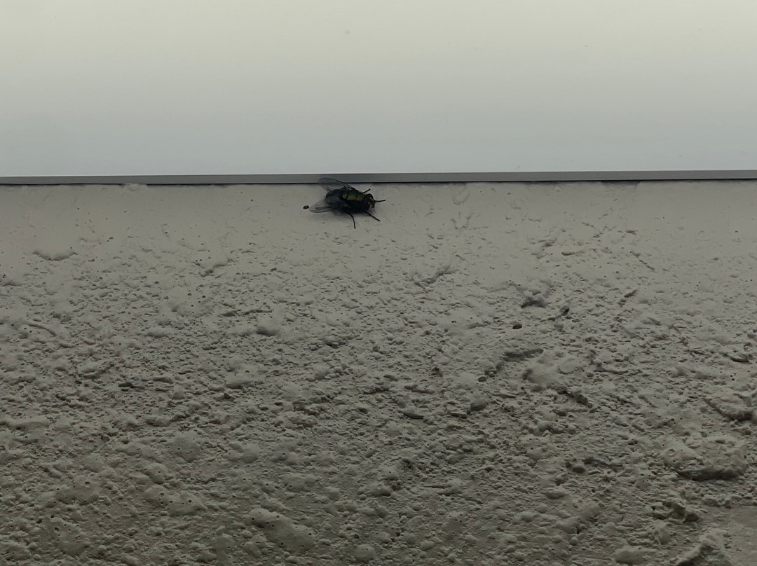 Days Inn & Suites By Wyndham Navarre Near Beaches/hurlburt主图