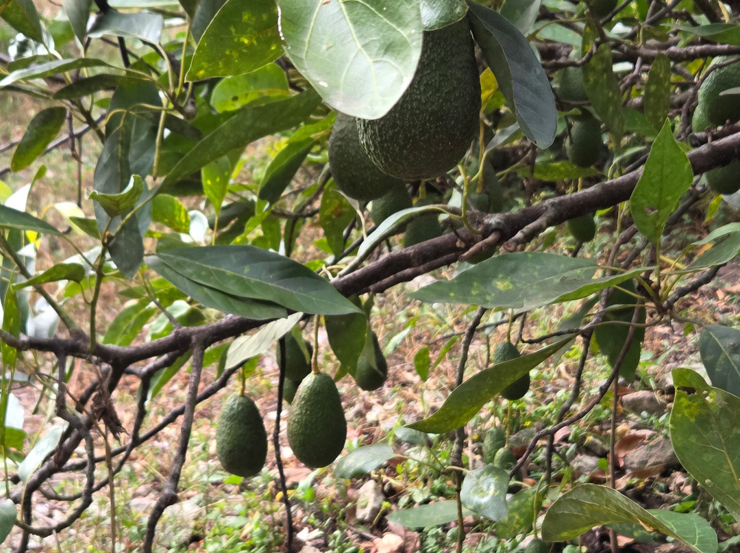 Andean Spirit Lodge主图