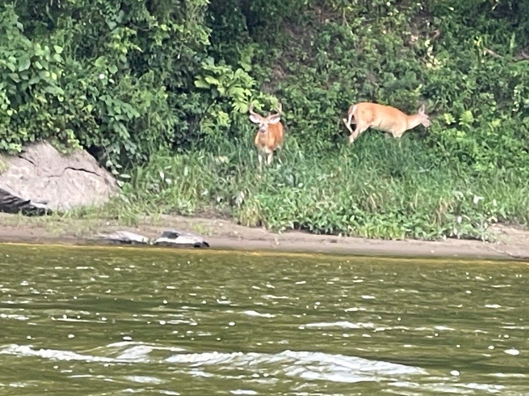 Chamberlain Canoes-Shawnee on Delaware必去景点