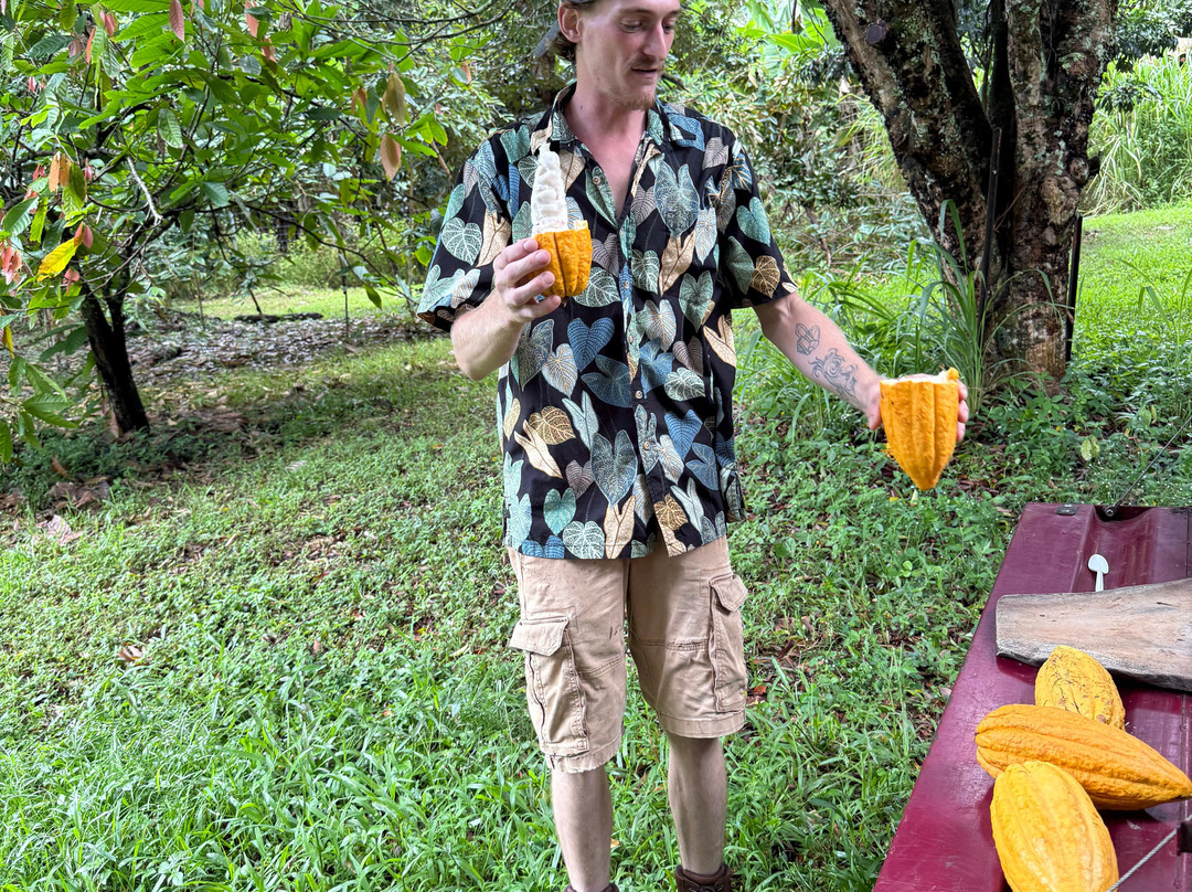 ONO Organic Farms-哈纳必去景点