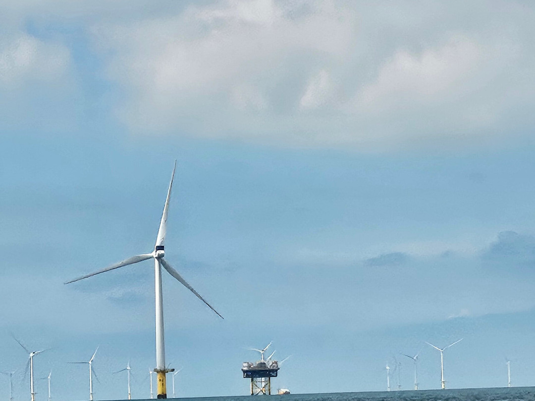 Sussex Boat Trips-Newhaven必去景点