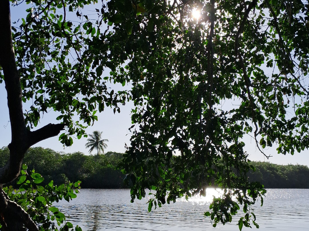 Praia de Itacimirim-Itacimirim必去景点