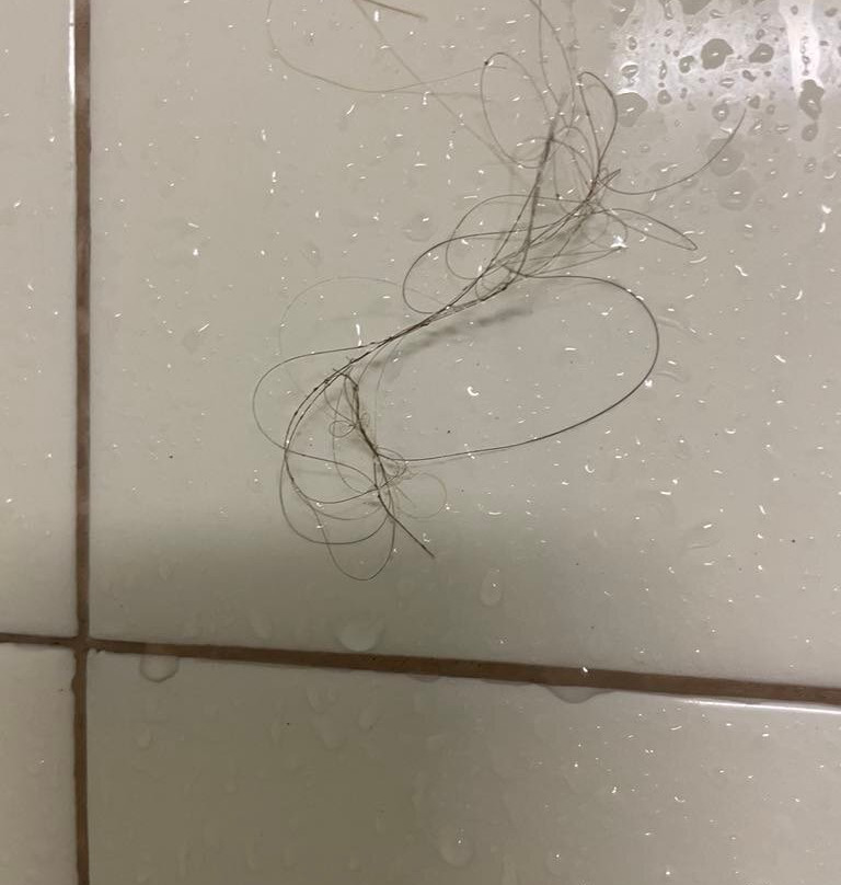 Hôtel Québec Inn主图