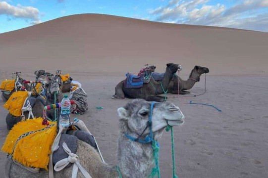 Lowtours-阿加迪尔必去景点