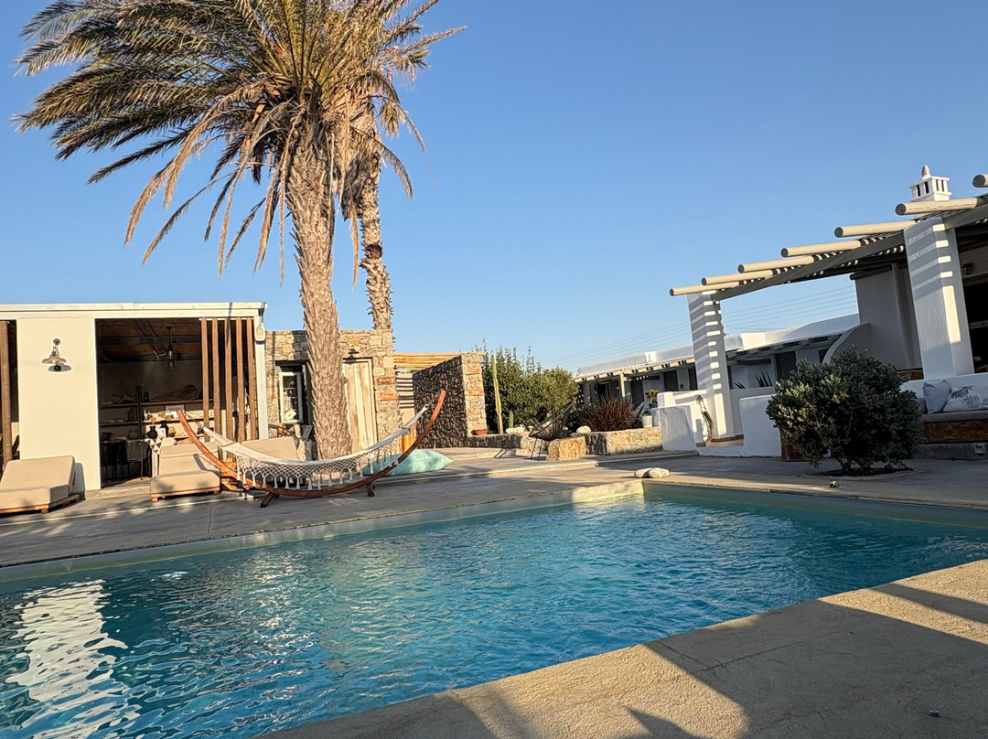 White and Grey主图