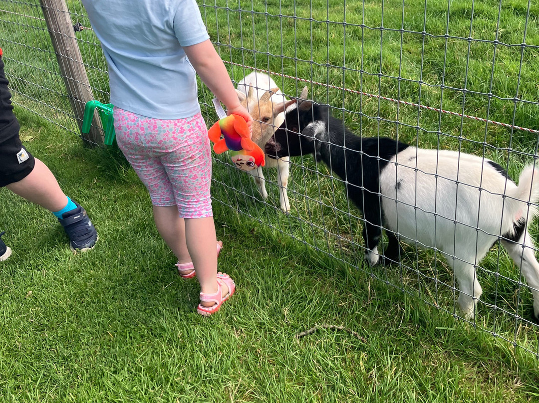Red Mountain Open Farm-Donore必去景点