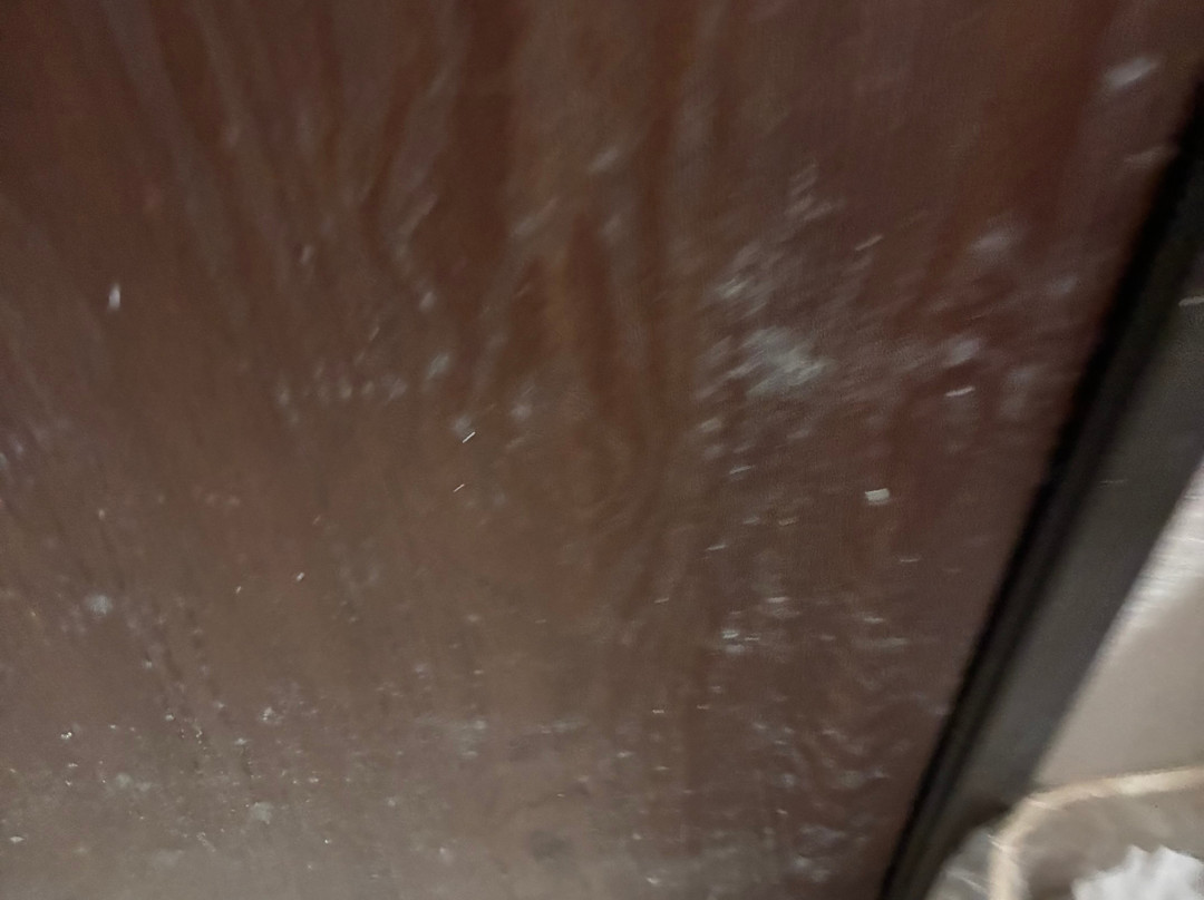 Super 8 by Wyndham Rantoul主图