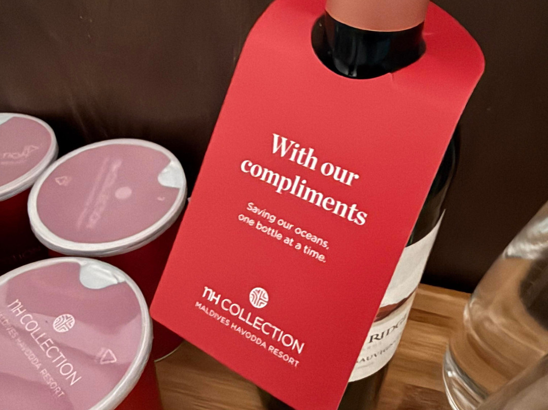 马尔代夫豪沃达岛诺翰精选度假酒店主图