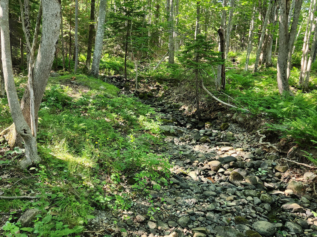 阿卡迪亚酒店主图