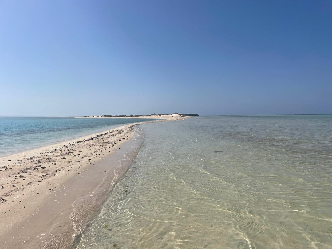 Wadi El Gemal National Park-马萨阿拉姆必去景点