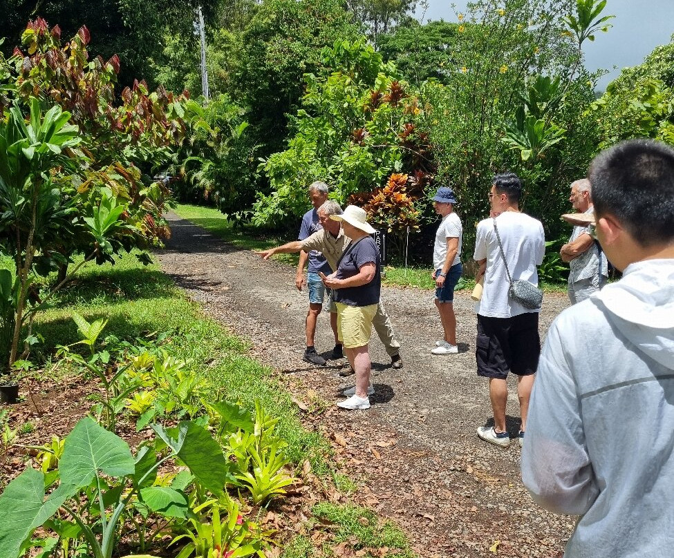 21 Degrees Estate Cacao Farm-卡内奥赫必去景点