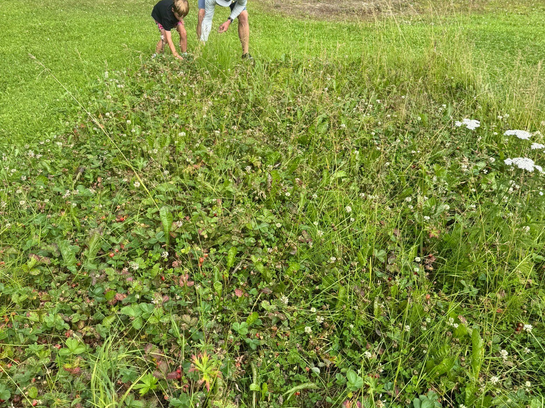 Alaska Wilderness Adventure - Talkeetna Atv Tours-塔尔基特纳必去景点