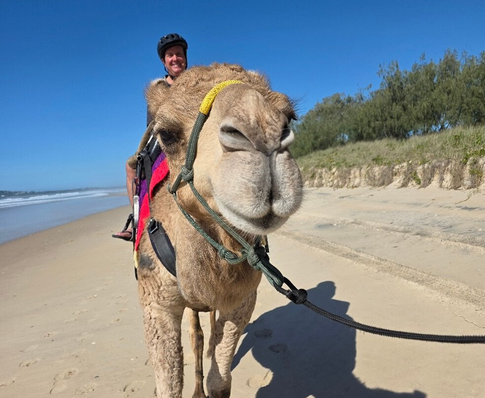 Camelot Camels & Noosa Camel Rides-Noosa North Shore必去景点