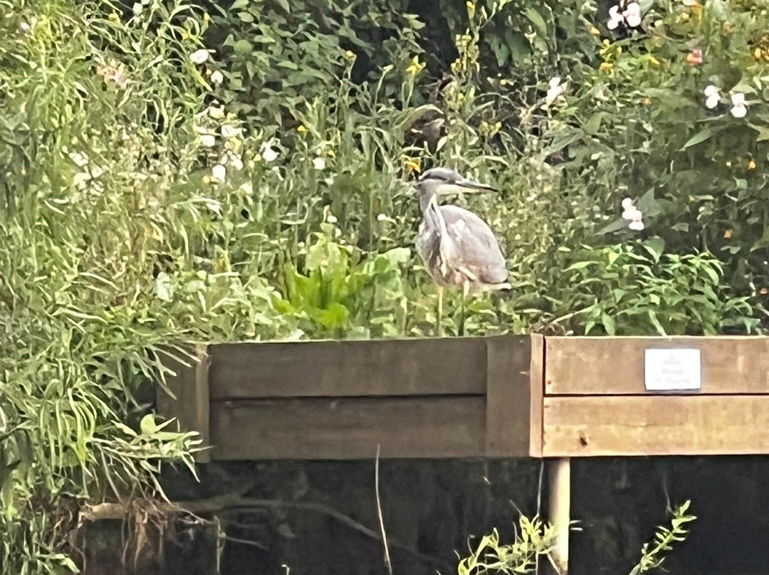 All Aboard Boating-St. Neots必去景点