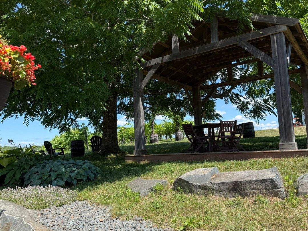 Avondale Sky Winery-Newport Landing必去景点