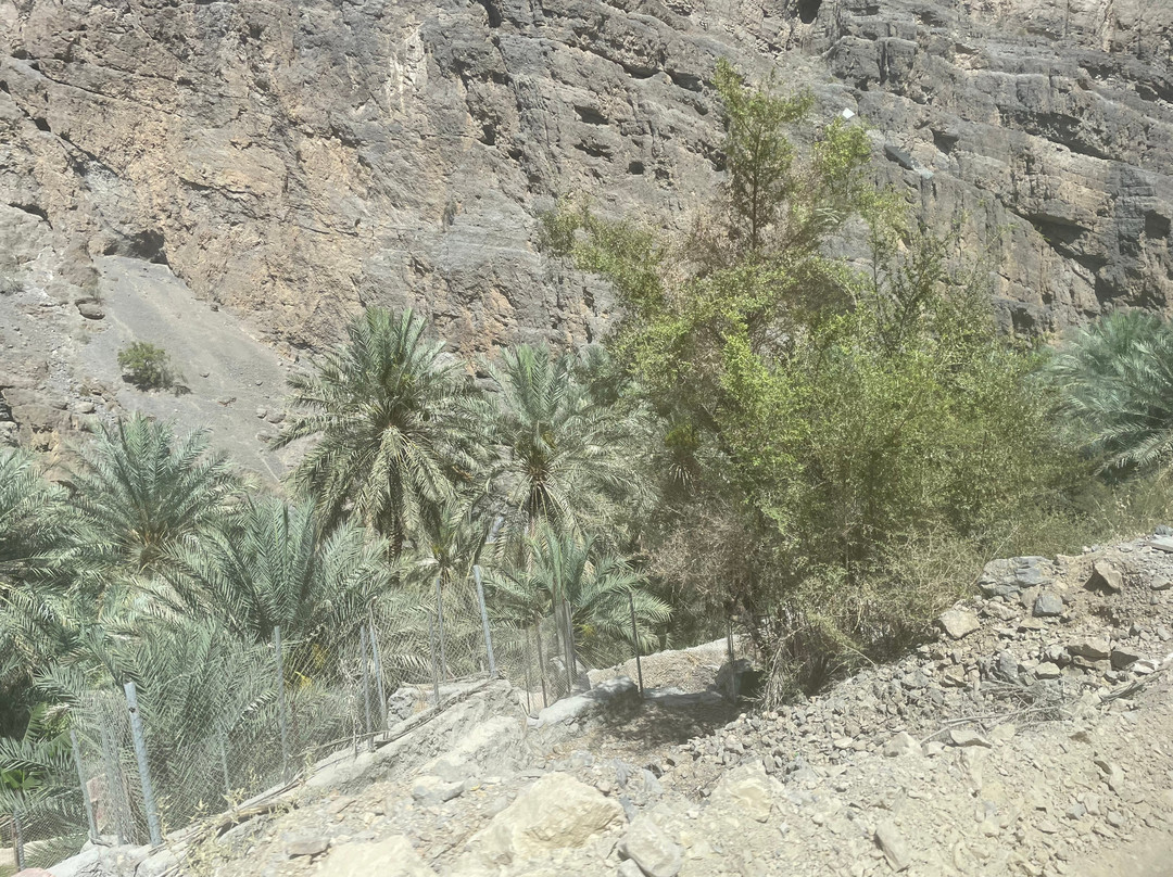 Wadi Al Arbeieen-Qurayyat必去景点