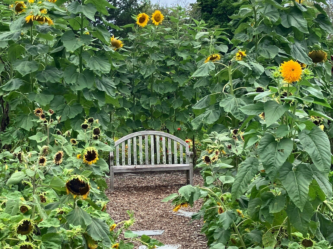 Reynolda gardens-温斯顿塞勒姆必去景点