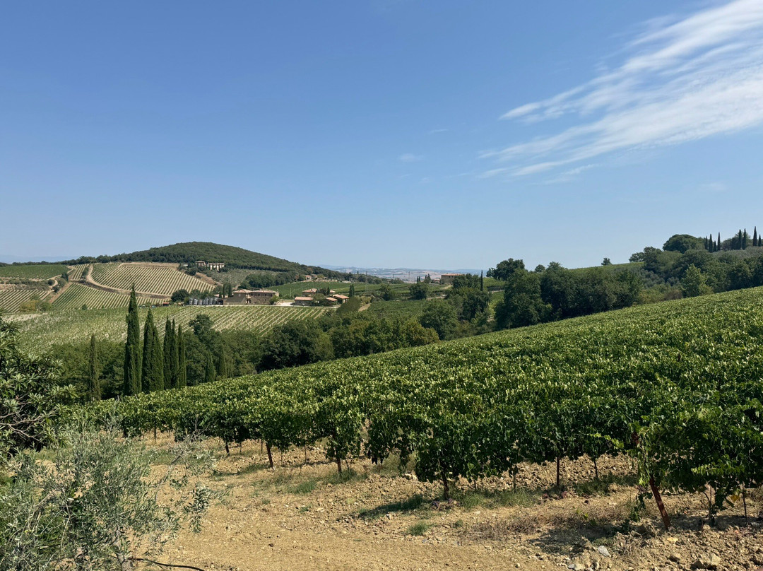 Casanuova delle Cerbaie-蒙塔尔奇诺必去景点