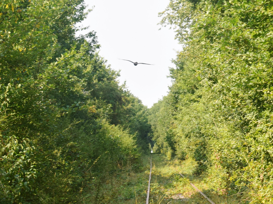 Velorail Du Pays Chartrain-Bailleau-Armenonville必去景点
