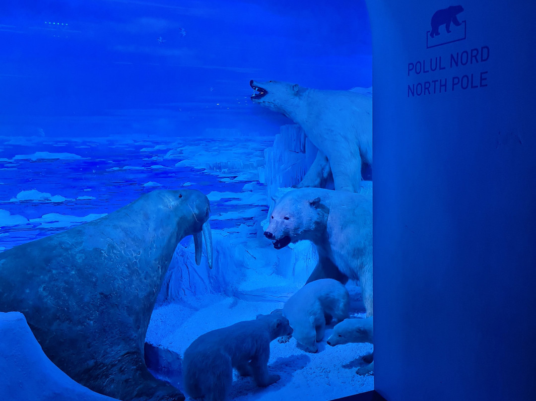 Grigore Antipa National Museum of Natural History-布加勒斯特必去景点