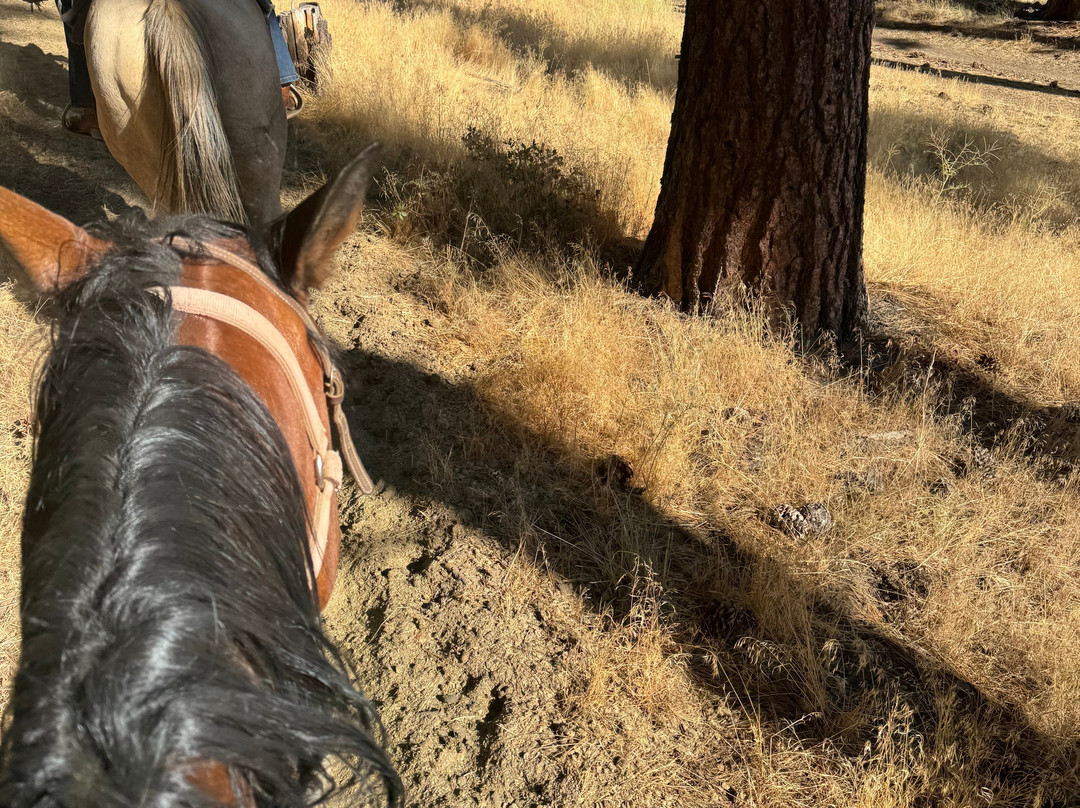 Zephyr Cove Stables-Zephyr Cove必去景点