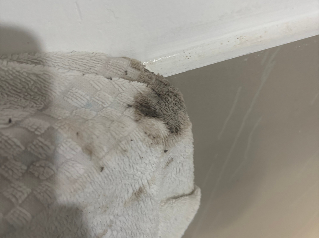 La Gran Tortuga主图