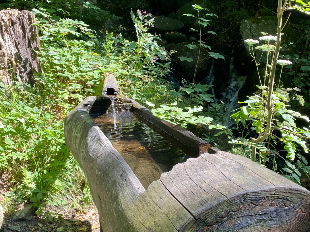 Gaishöll-Wasserfälle-Sasbachwalden必去景点