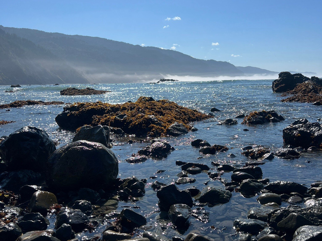 Black Sands Beach-Shelter Cove必去景点