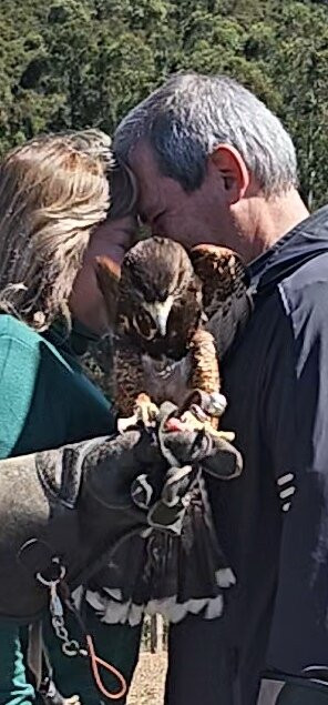 Escola de Falcoaria-蒙特贝尔德必去景点