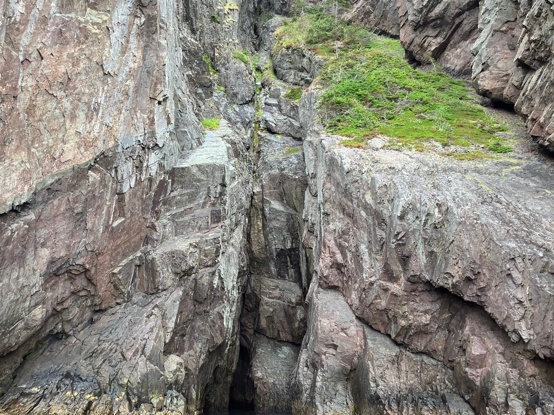 Trinity Eco-Tours-Trinity必去景点