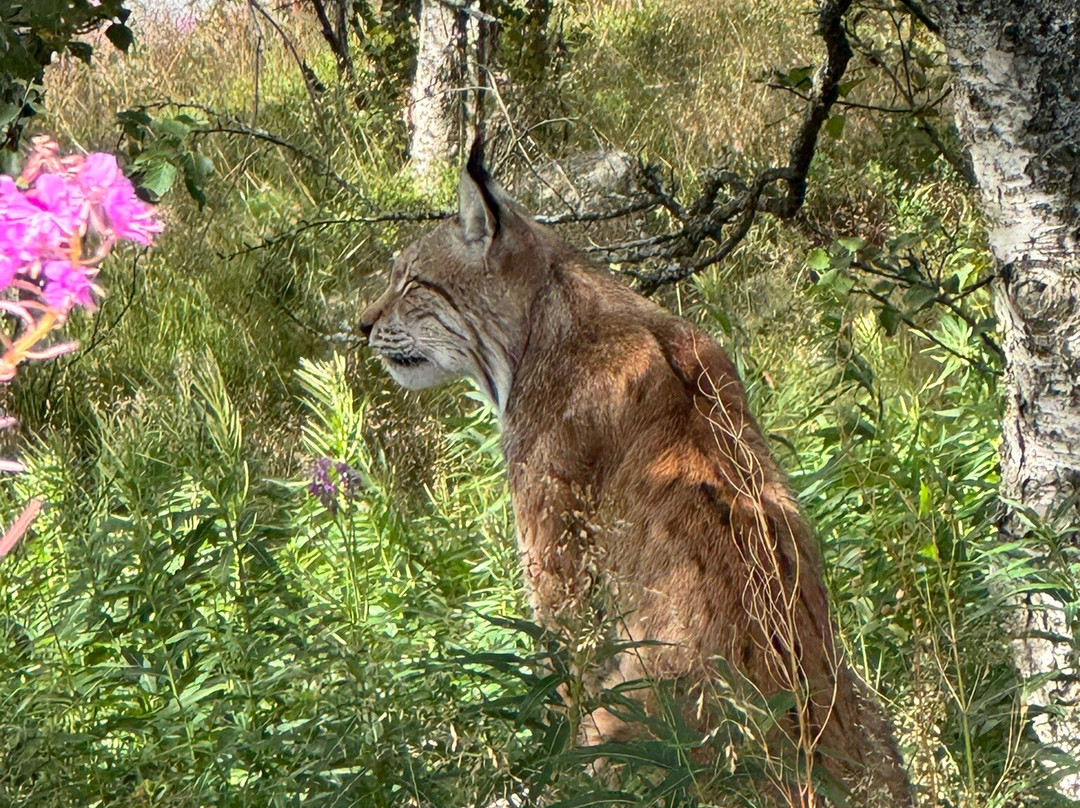 Langedrag Nature Park-Nesbyen必去景点