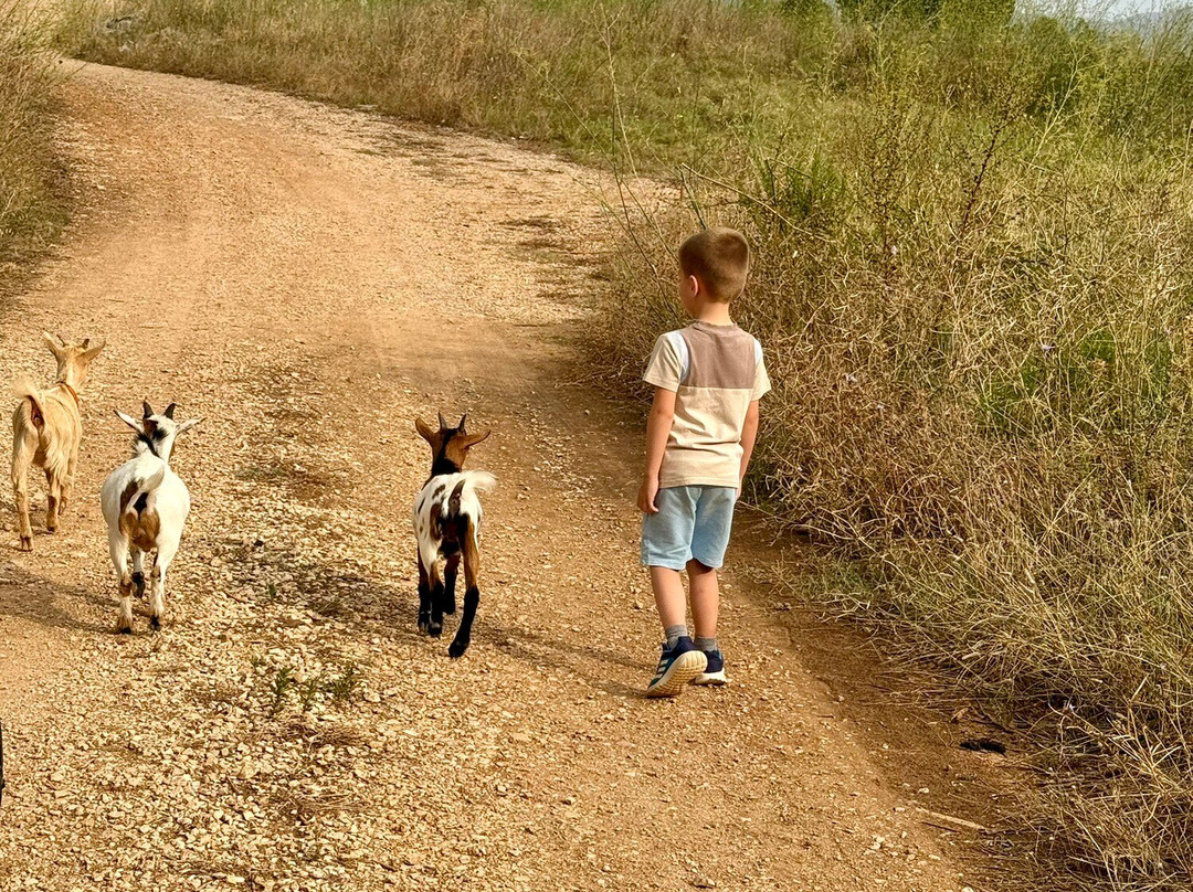 Euro Goat Trekkers-Tarbena必去景点