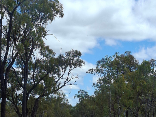 Undarra Lava Tubes-Undara Volcanic National Park必去景点