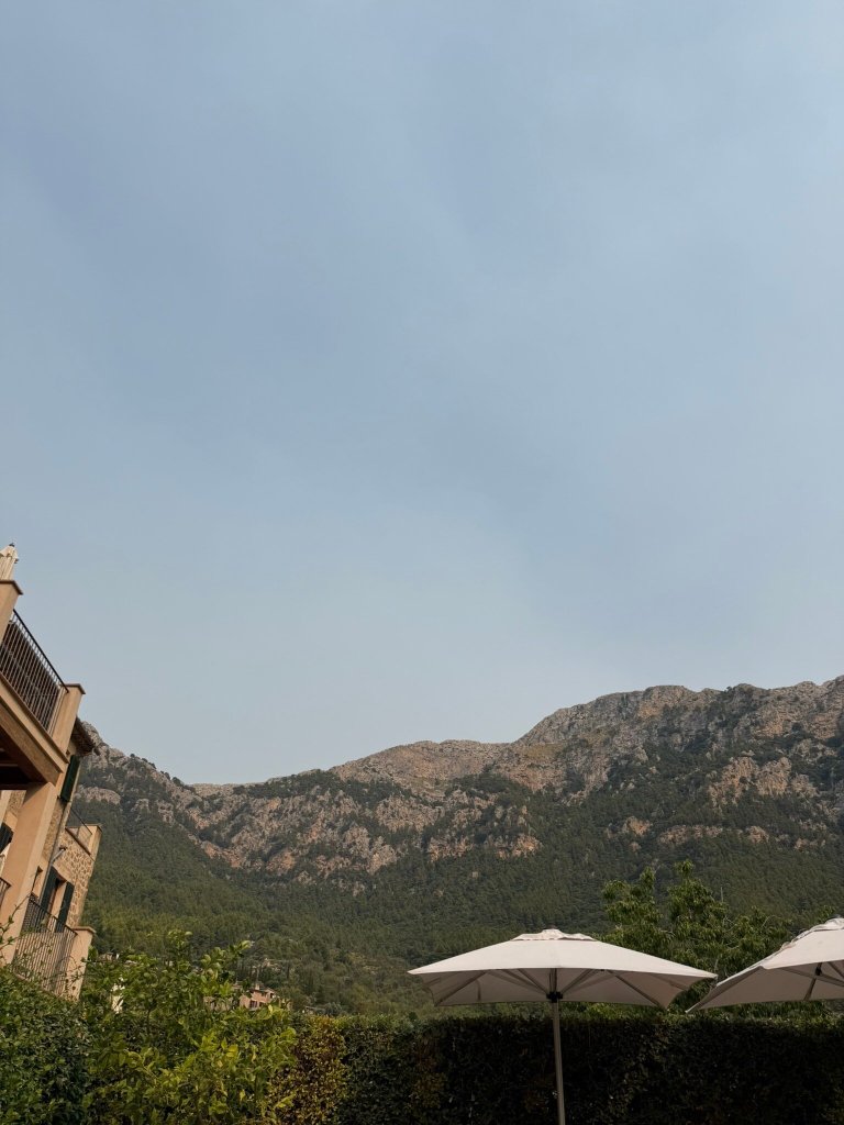 Hotel d'es Puig-官方