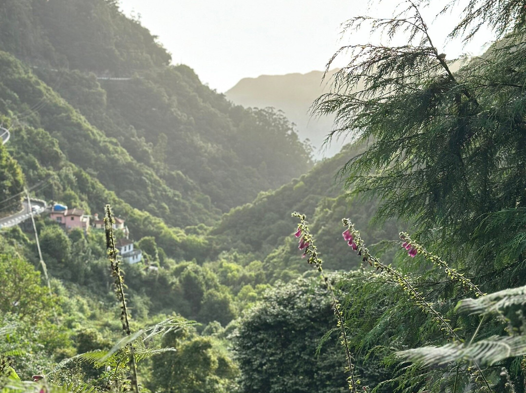 Balcoes de Ribeiro Frio-马德拉群岛必去景点