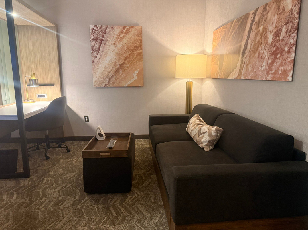 SpringHill Suites by Marriott Tifton主图