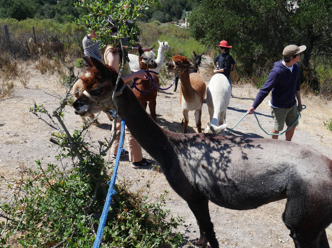 D'jango Hill Farm-卡梅尔必去景点