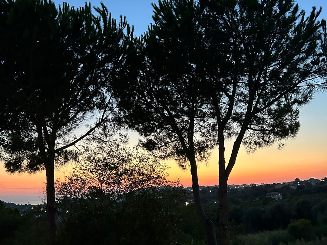 Hotel Villaggio Pineta Petto Bianco主图