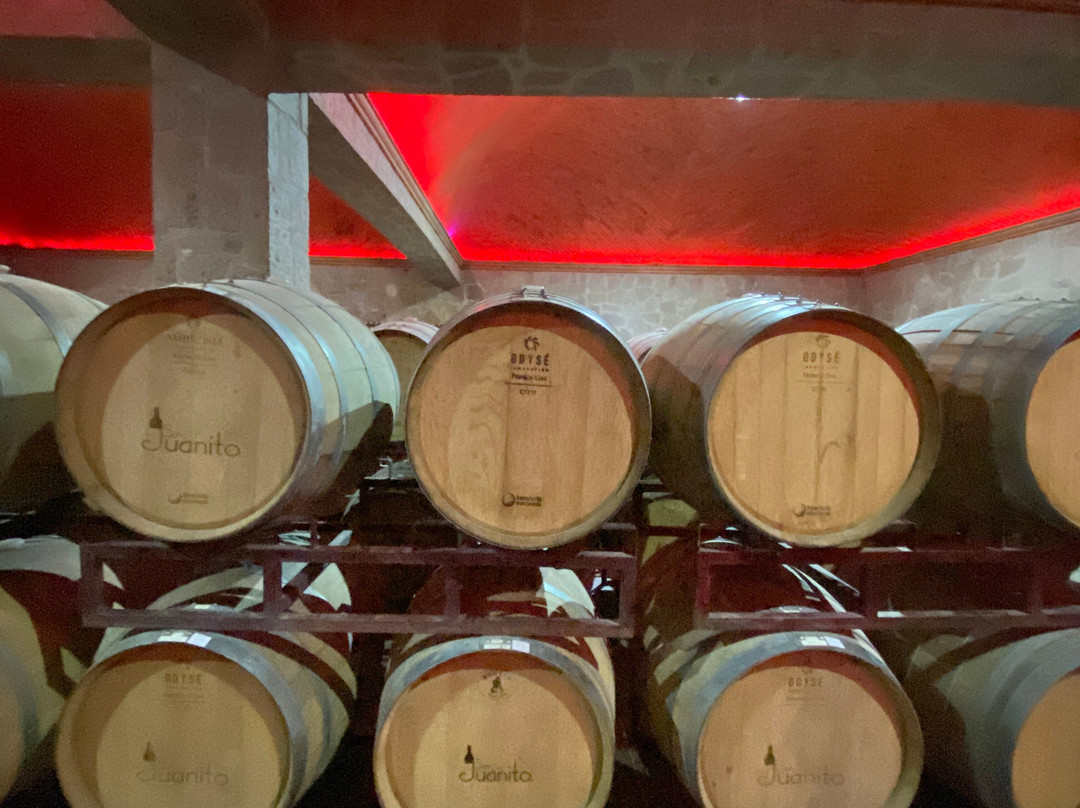 San Juanito-Tequisquiapan必去景点