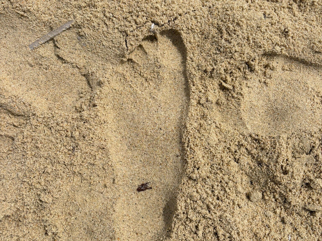 Spiaggia di Kal' e Moru-Geremeas必去景点