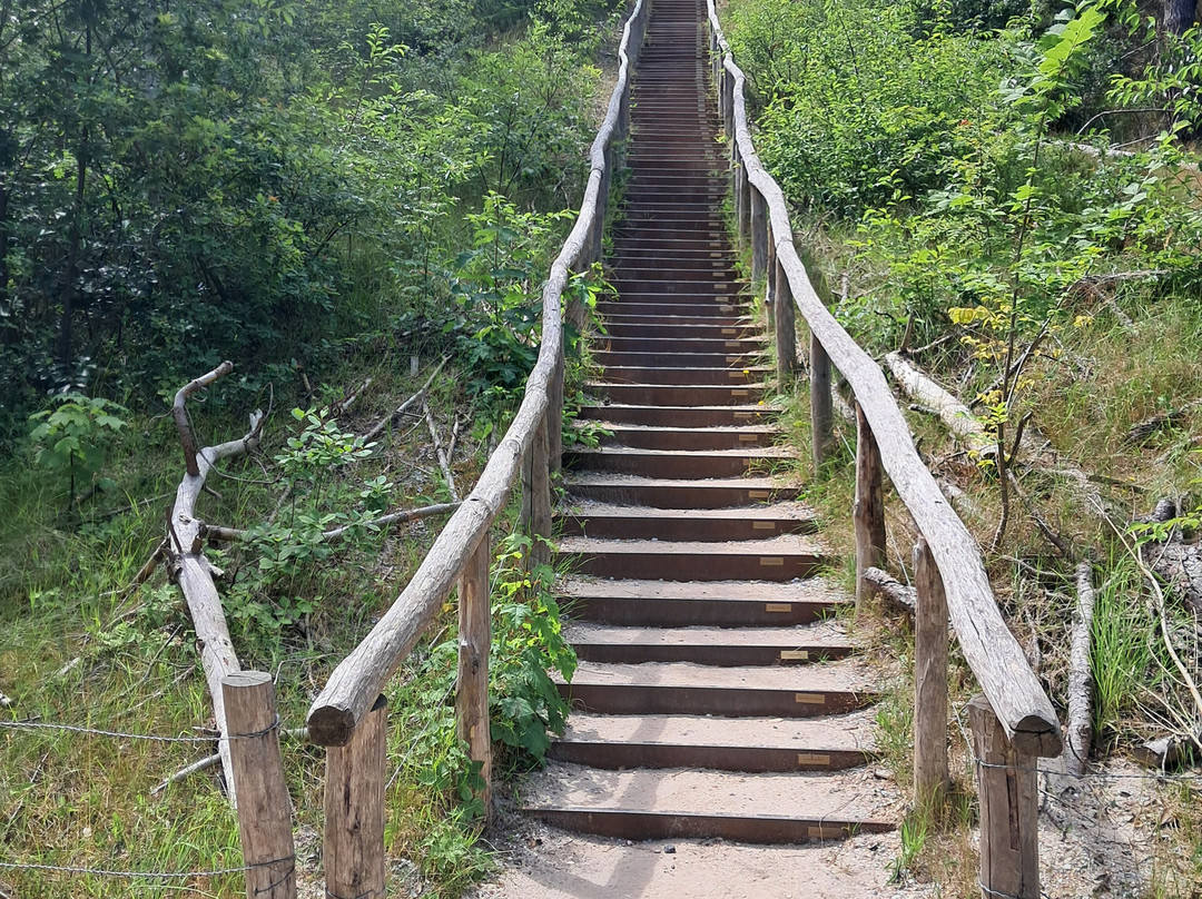 Schoorlse Duinen-Schoorl必去景点