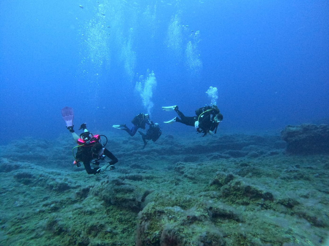 Emerald Diving Ireland-Blanchardstown必去景点