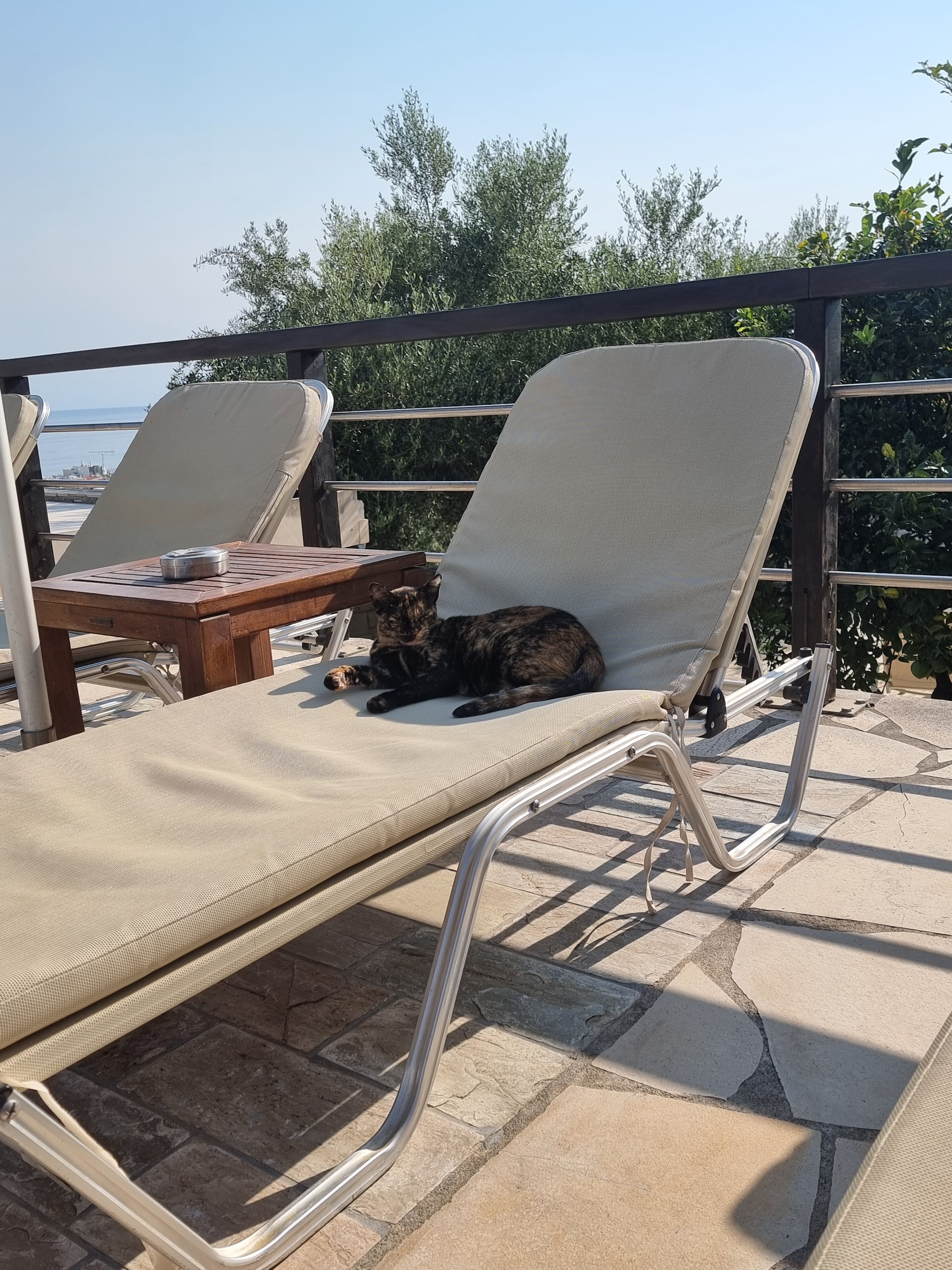 Forest Park Hotel-浴室