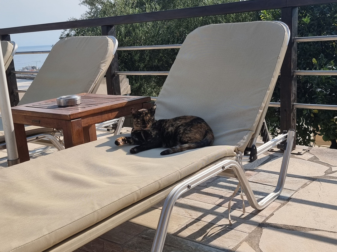 Forest Park Hotel主图