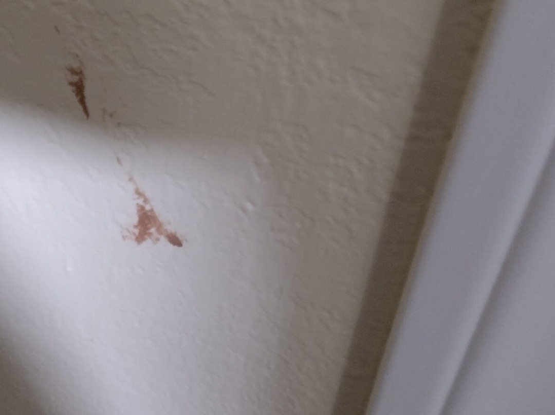 银色冲浪汽车旅馆主图