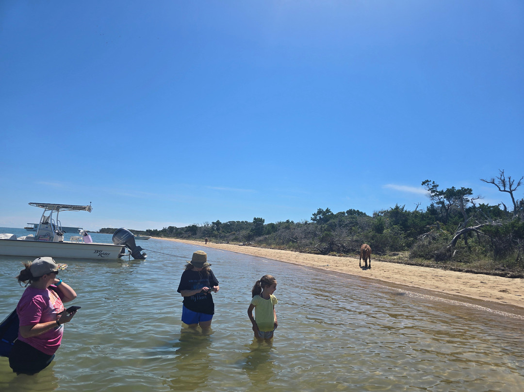 H2O Captain Eco-Tour Private Boat Excursions-莫尔黑德城必去景点