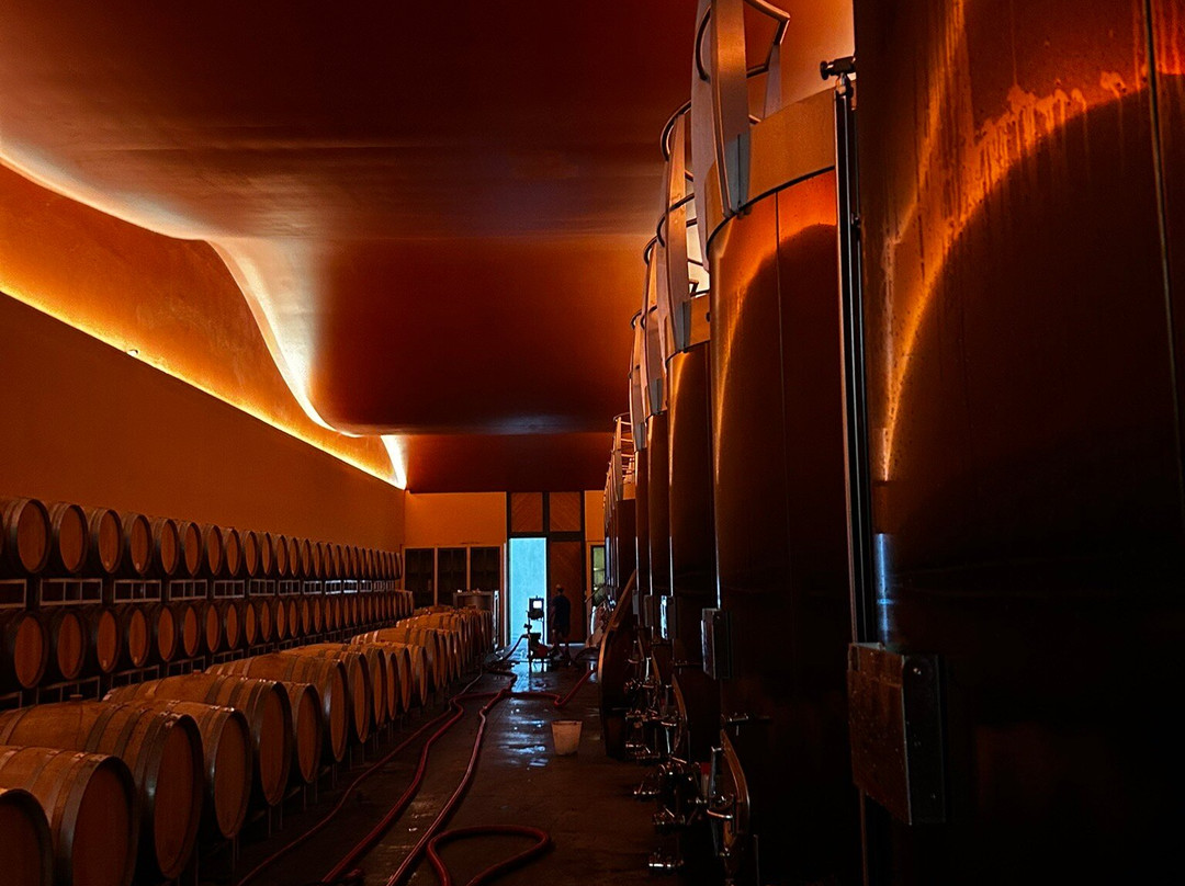 Tenuta Ammiraglia-Magliano in Toscana必去景点